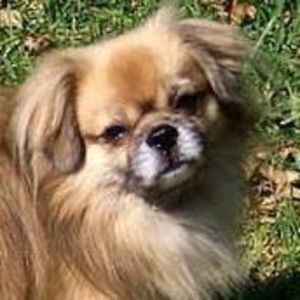 Meet your Posher, Delmar